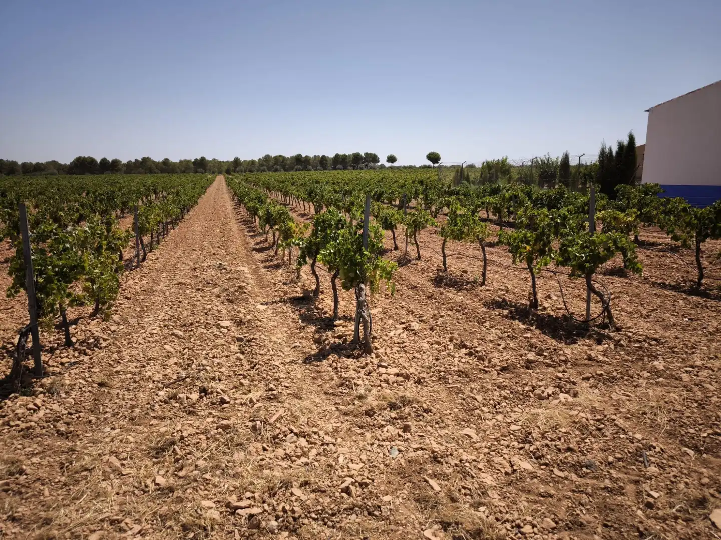 Casa rústica en venda a Valdepeñas, imagen 16