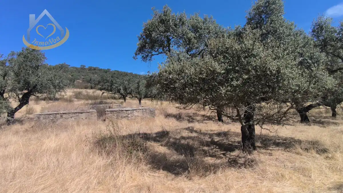 Terreni e lotti in vendita a Puebla de Guzmán, imagen 59