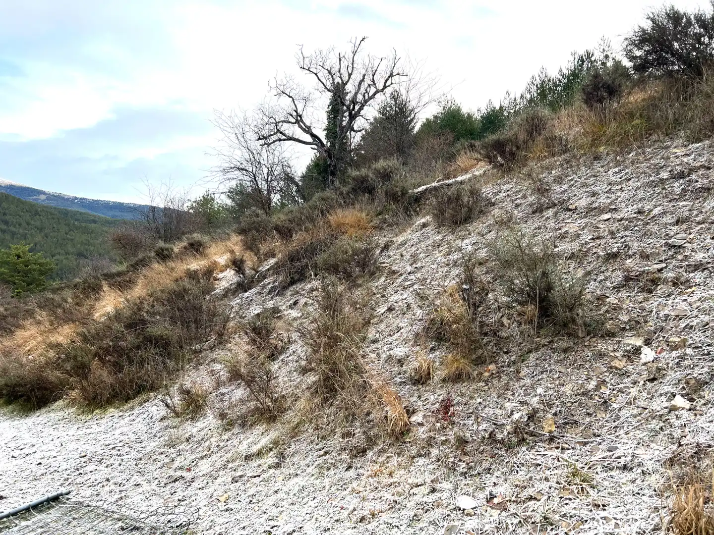 Grundstücke zum Verkauf in Jaca