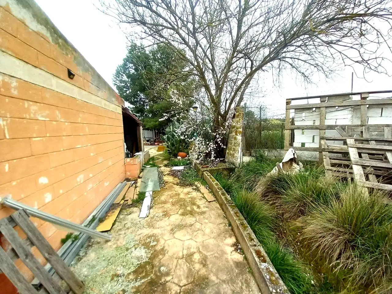 Jardín de Casa o chalet en venta en Mozota con Jardín privado, Trastero y Piscina