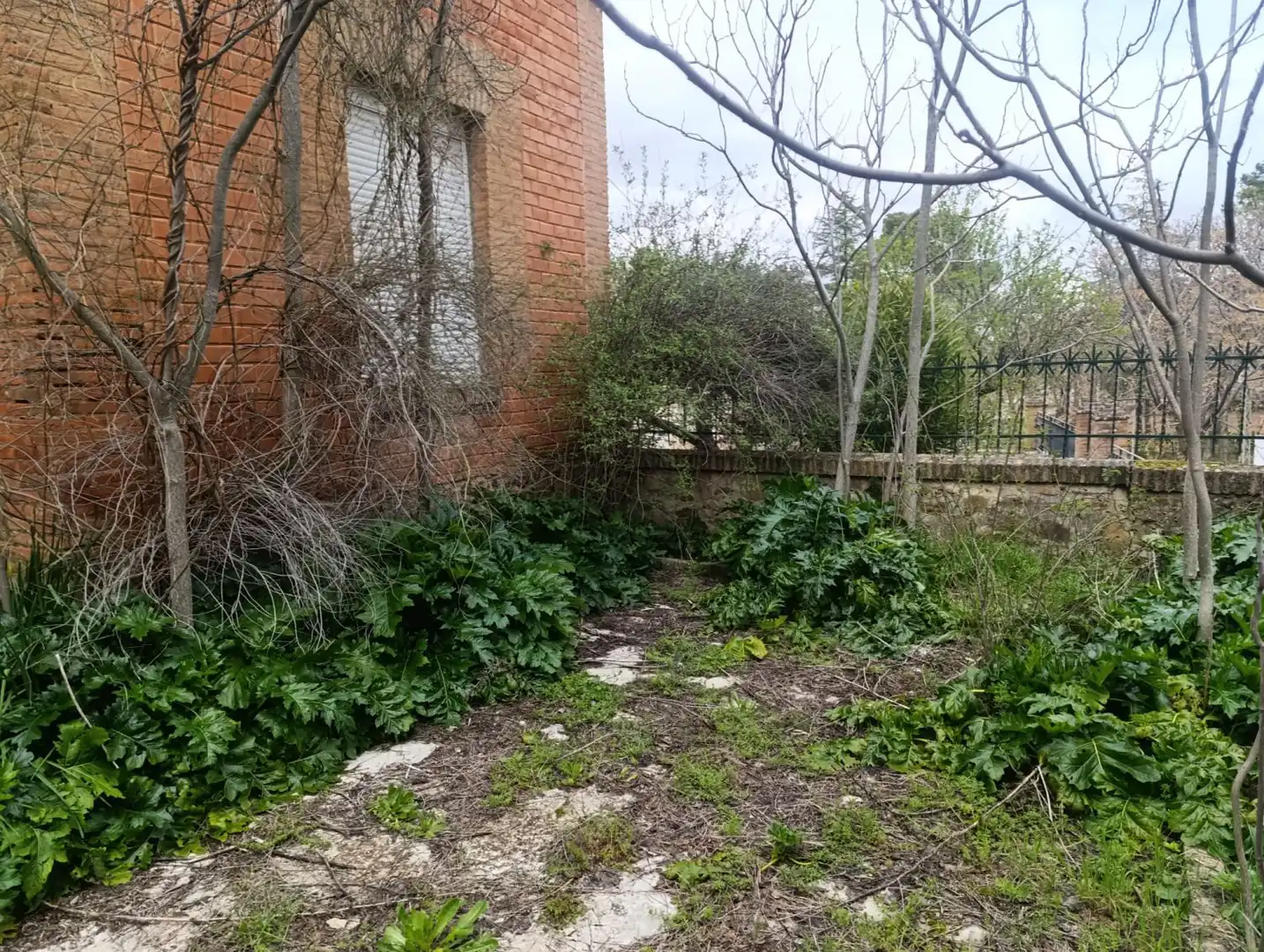 Maison à vendre à Santa Cruz de Mudela, imagen 10