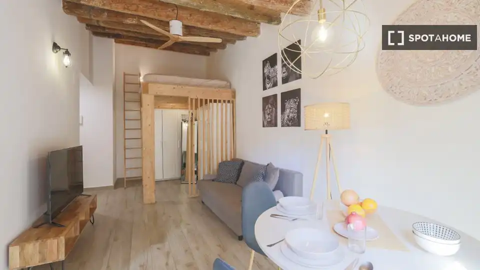 Flat with terrace to rent in Ciutat Vella, imagen 13
