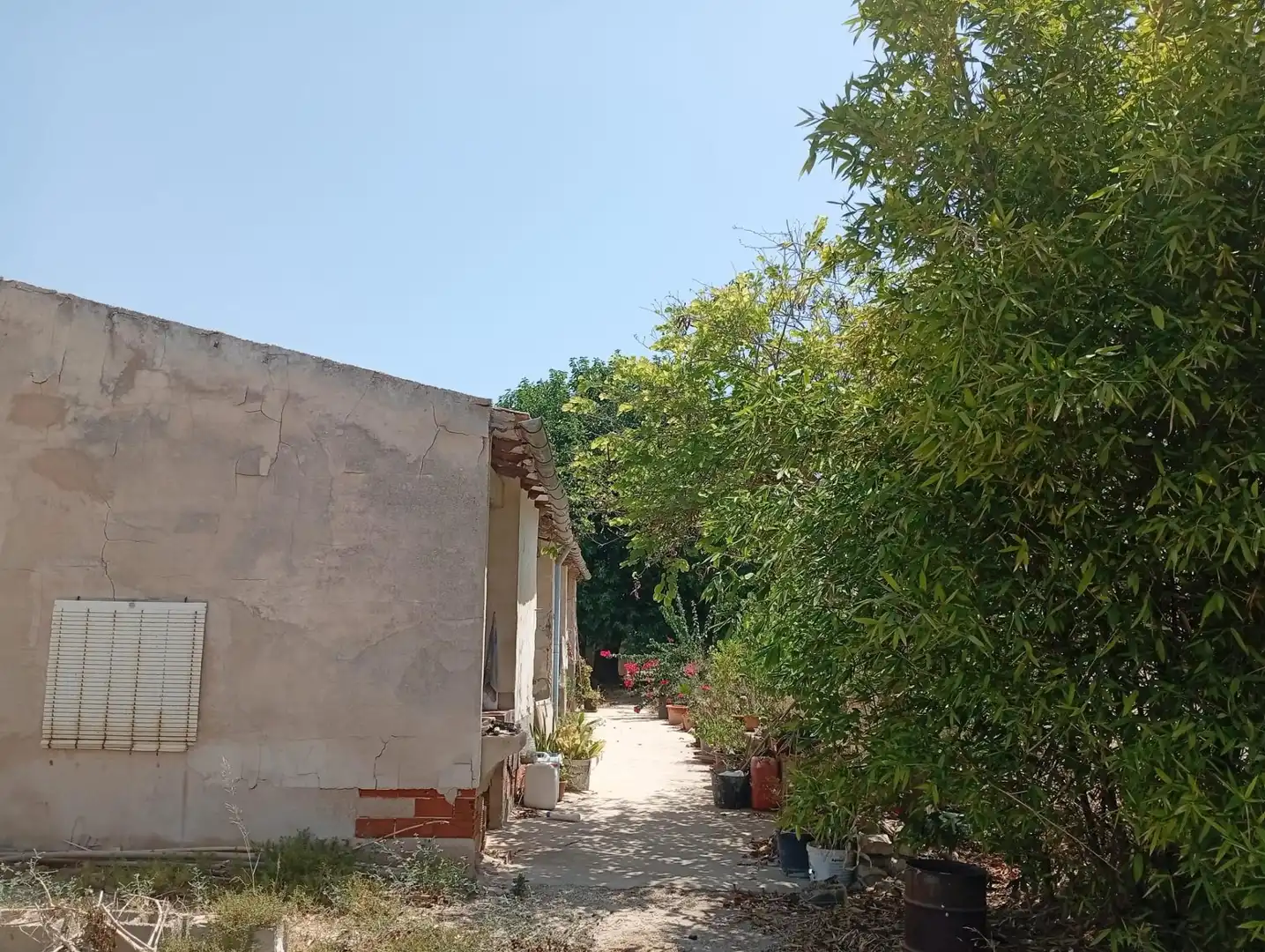 Exterior view of Houses for sale in Puçol