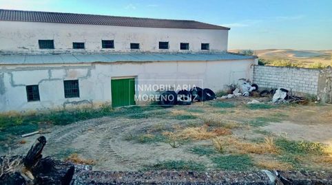 FINCA DE OLIVOS,  110 FANEGAS  DE 1 PATA.  2 POSOS Y CORTIJO., immagine 4