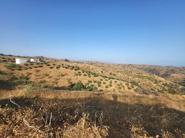 Terreno residenziale in vendita a Cártama pueblo