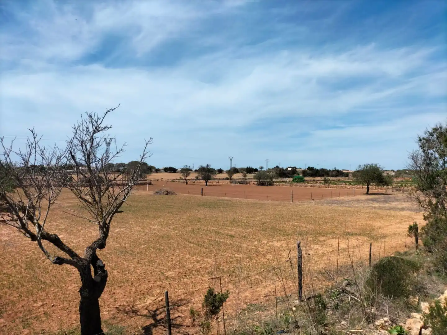 Villa avec jardin à vendre à Venda des Pi des Catala  2962 Sant Francesc (carretera Ca Mari) 2962, imagen 6