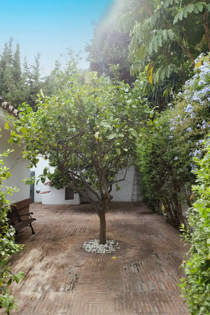 Haus mit Pool zum Verkauf in Marbella Centro, imagen 24
