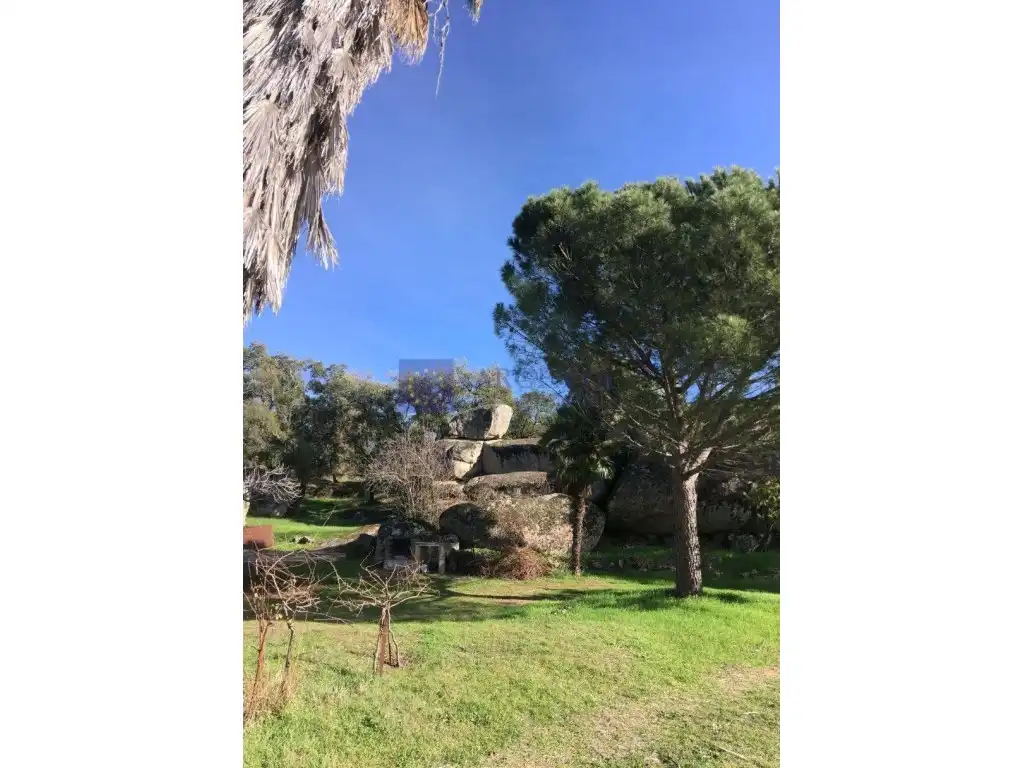 Terrenos y solares en venta en Calle Barrionuevo Grande, imagen 4