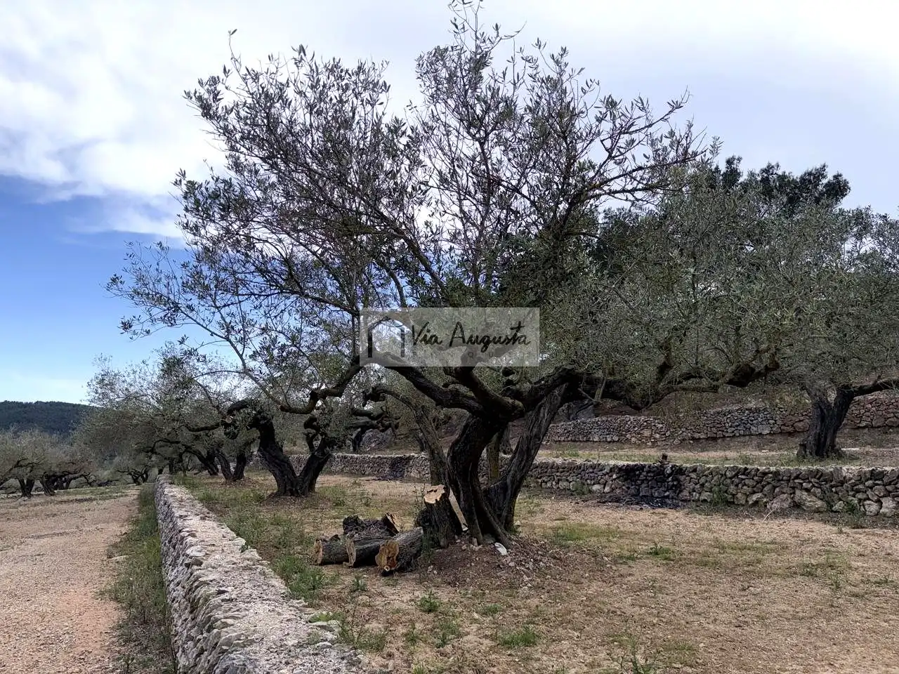 Country homes for sale in Tortosa