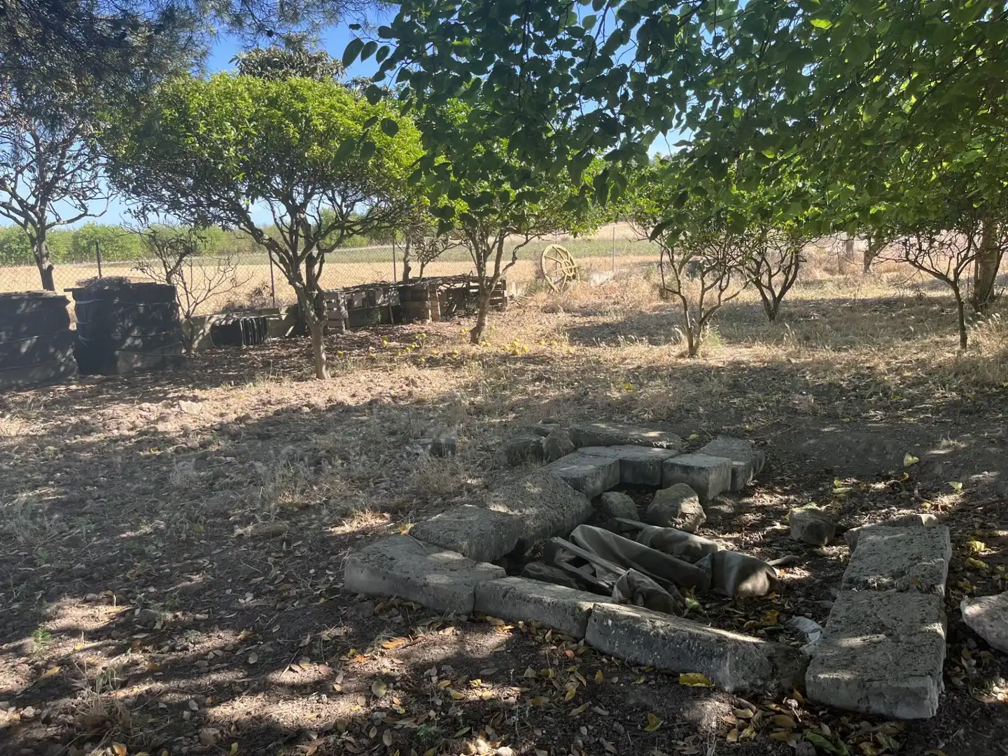 Terreny rústic en venda a Muro, imagen 20