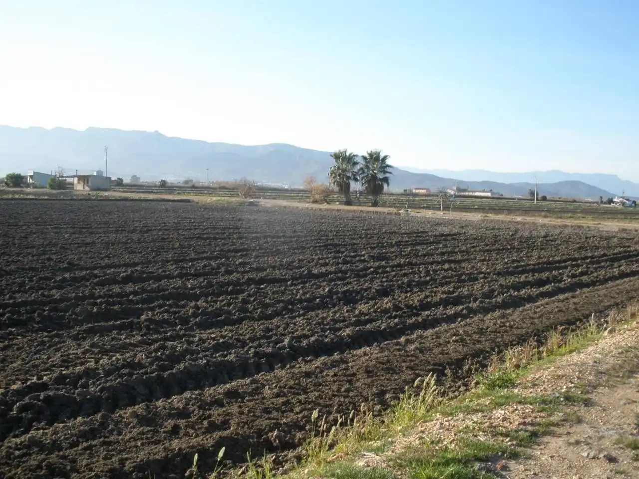 Country homes for sale in La Ràpita