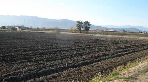 Photo 2 of Country homes for sale in Nord, La Ràpita