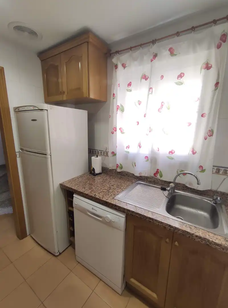 Duplexes for rent in Gran Playa