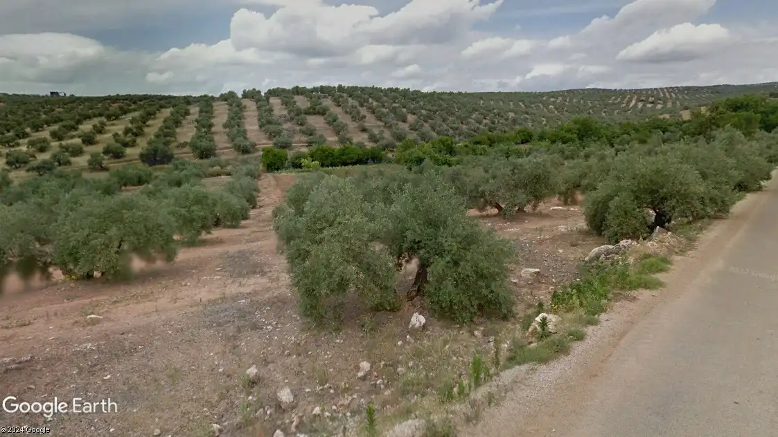 Terreni e lotti in vendita a Navas de San Juan