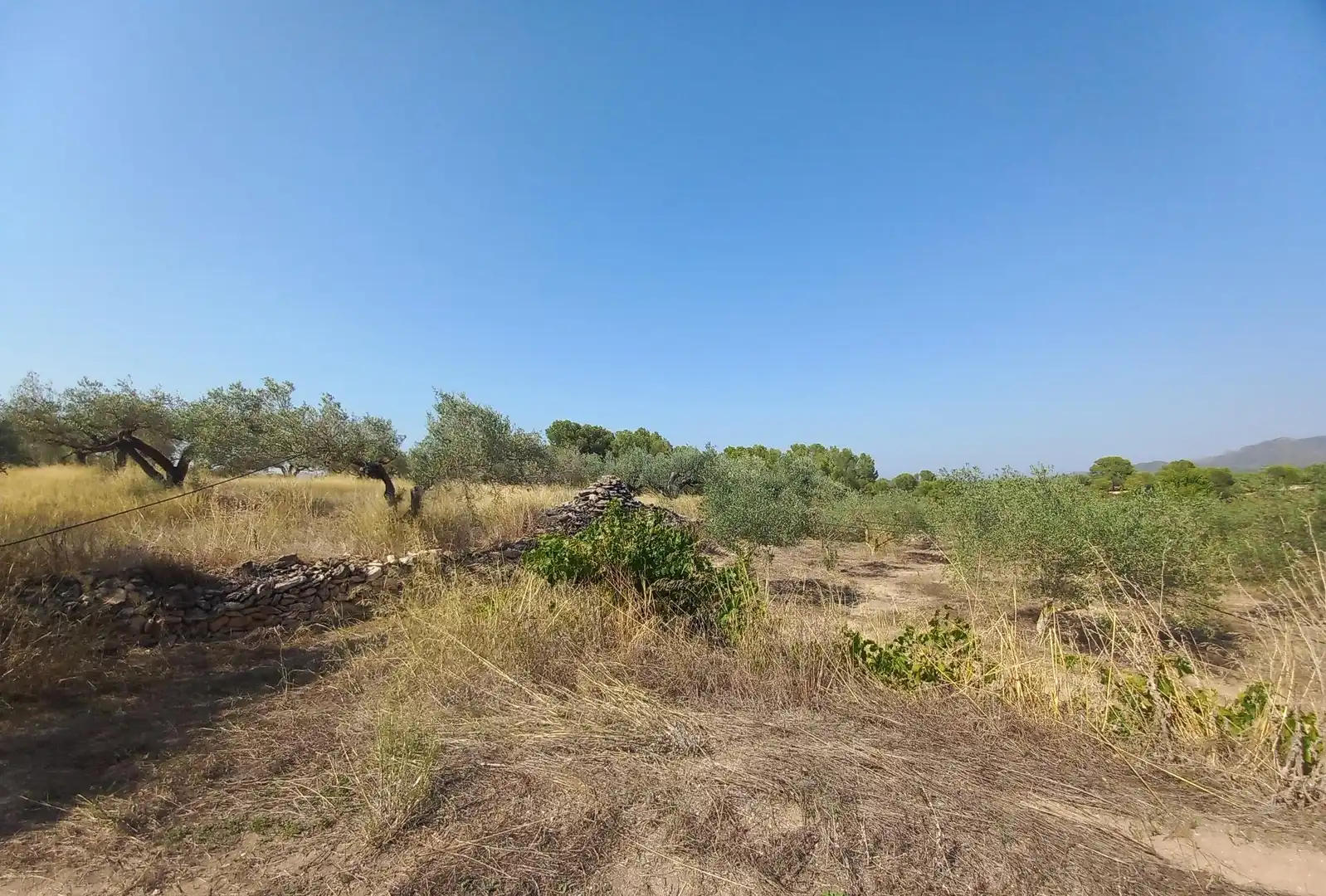 Finca rústica en venta en Rasquera
