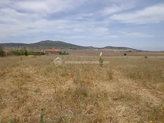 Terreni e lotti in vendita a Valdesalor - Rincón de Ballesteros, imagen 2