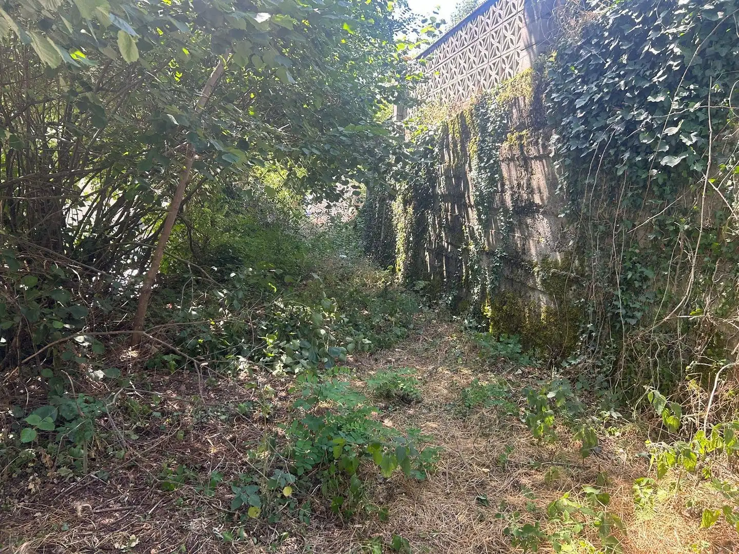 Residential zum Verkauf in Somiedo