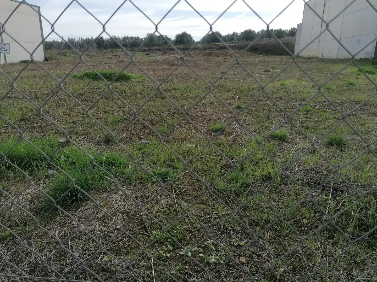 Industriegrundstück zum Verkauf in La Carlota, imagen 3
