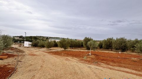 Photo 3 of Residential for sale in Campillos, Málaga