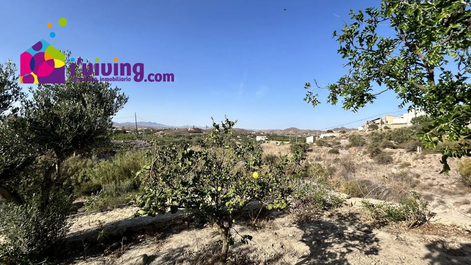 Finca rústica de alquiler en Cantoria