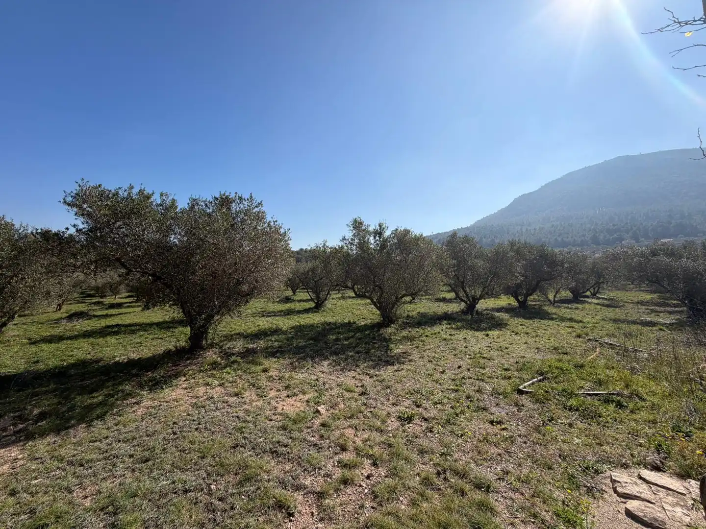Terrain rustique à vendre à N/A, imagen 18