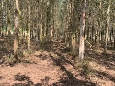 Terreno en venta en Outeiro de Rei