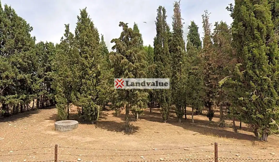 Rural land for sale in Polígono 3, Parcelas 25,27,28,33,34, imagen 4