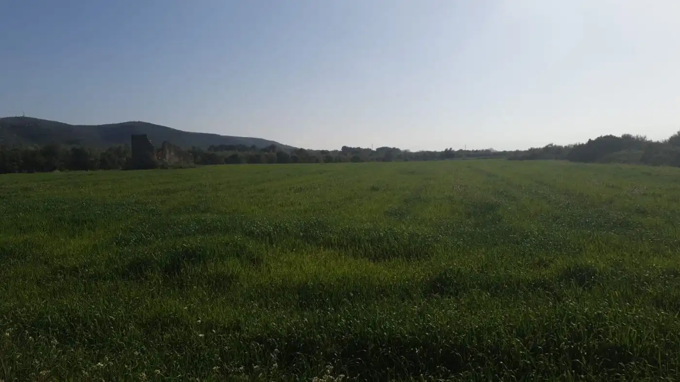 Rural land for sale in Godall, imagen 3
