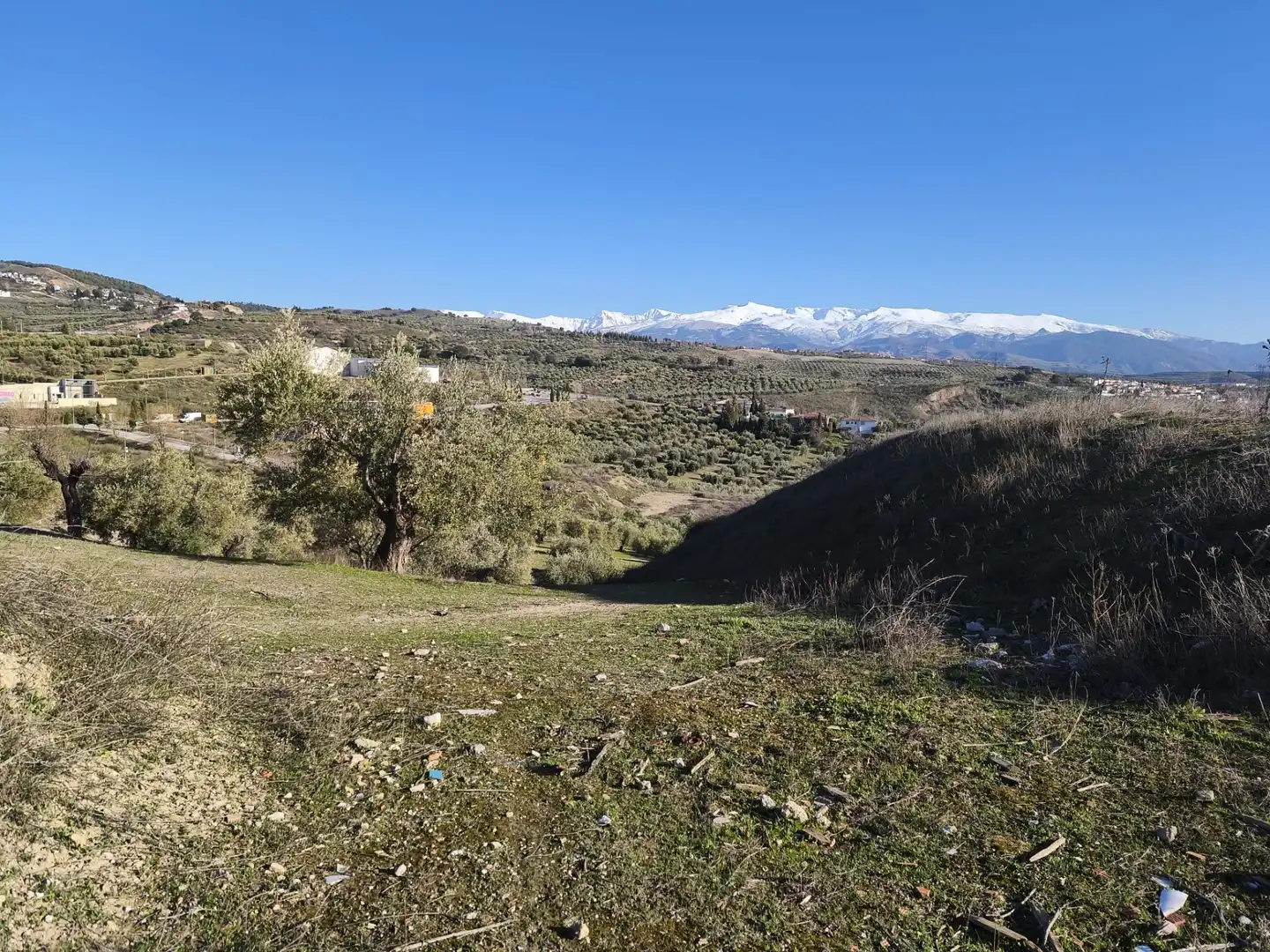 Lands and plots for sale in Alfacar, imagen 17