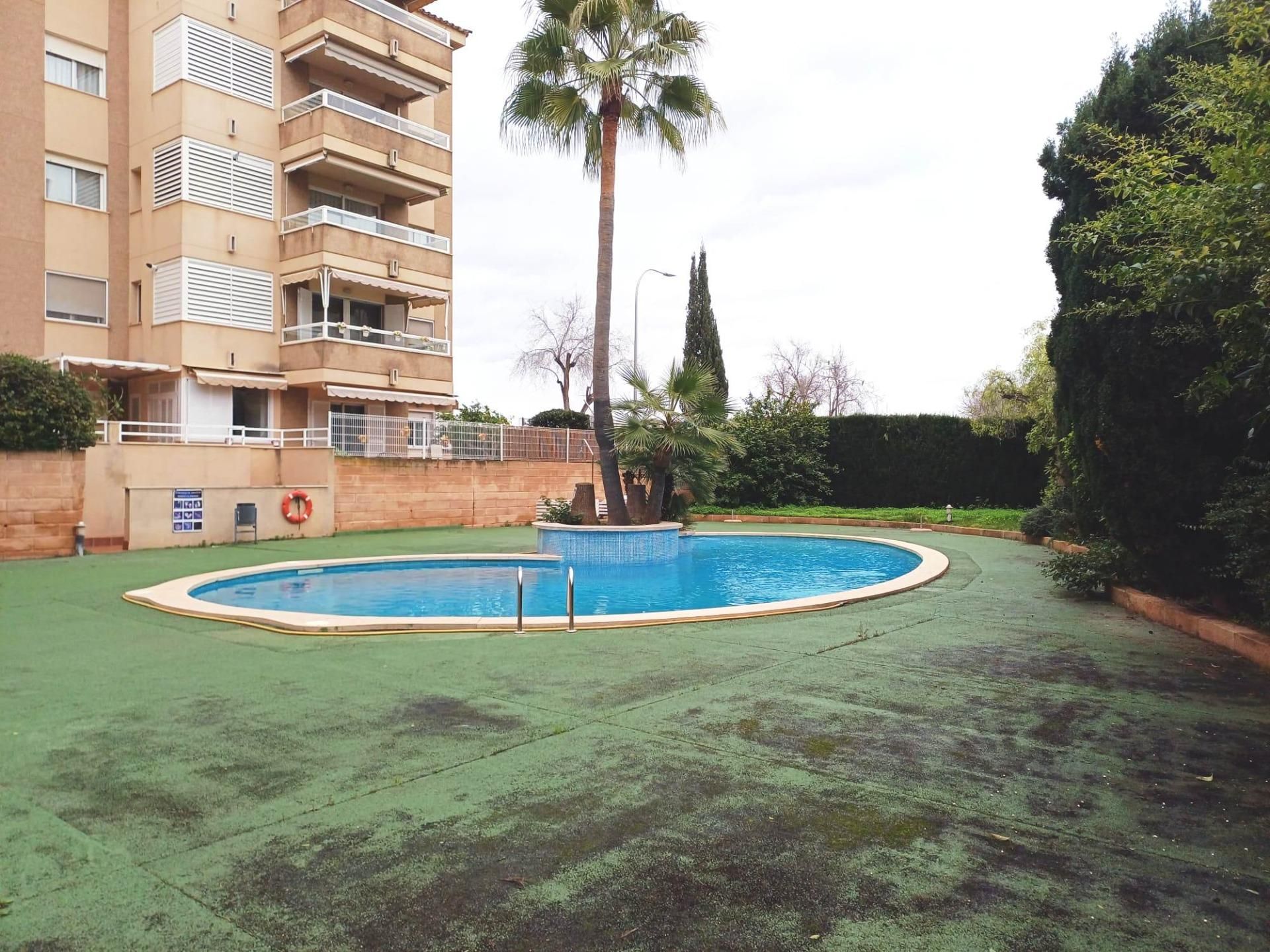 Piscina de Planta baixa de lloguer en  Palma de Mallorca amb Aire condicionat, Calefacció i Jardí privat