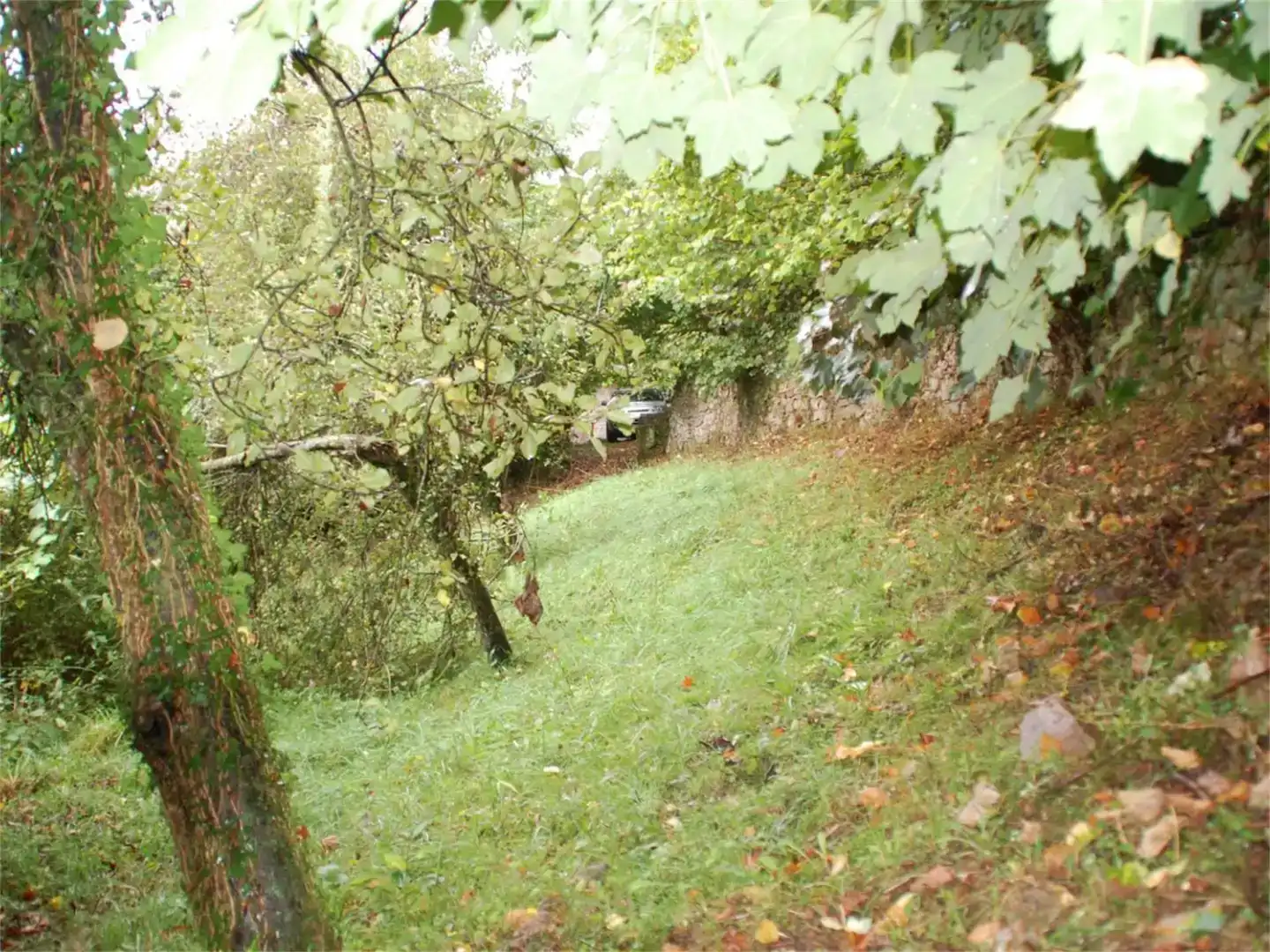Finca rústica en venda en Cabrales