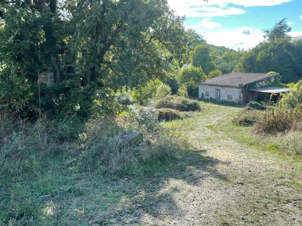 Terreni e lotti in vendita a O Pereiro de Aguiar, imagen 6