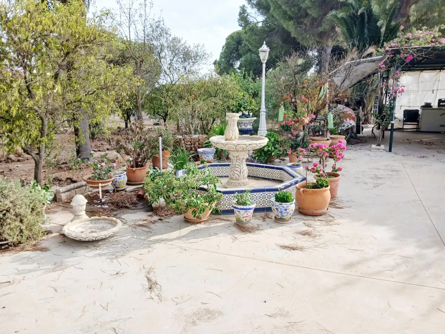 Casa rústica amb jardí en venda a Bonares, imagen 14