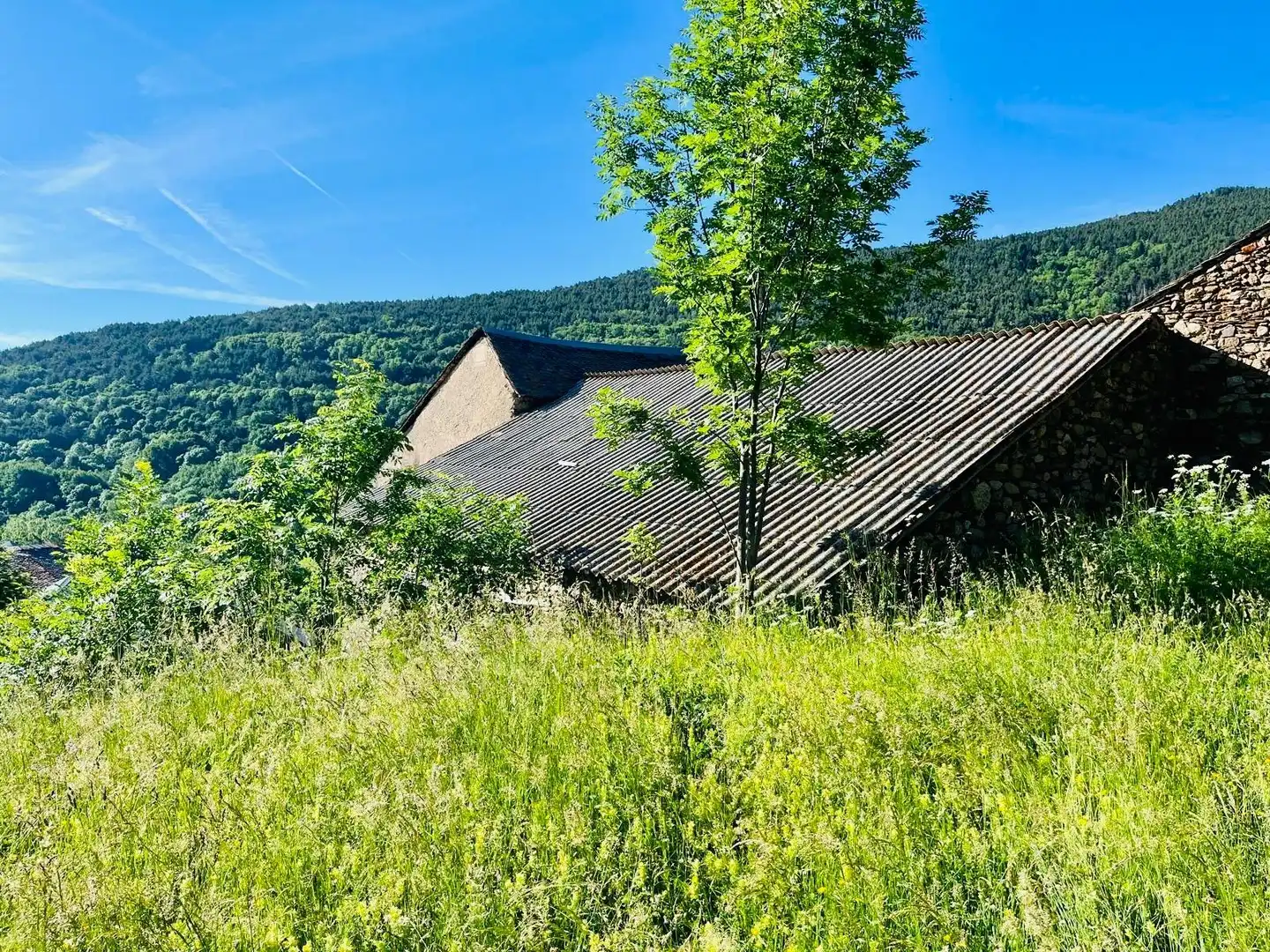 Casa rústica en venta en Alt Àneu, imagen 3
