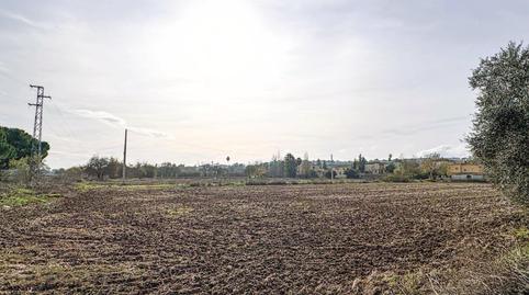 Photo 3 of Land for sale in Urbanizacion Polígono 288 Paraje 768 Calamon, Casco Antiguo, Badajoz