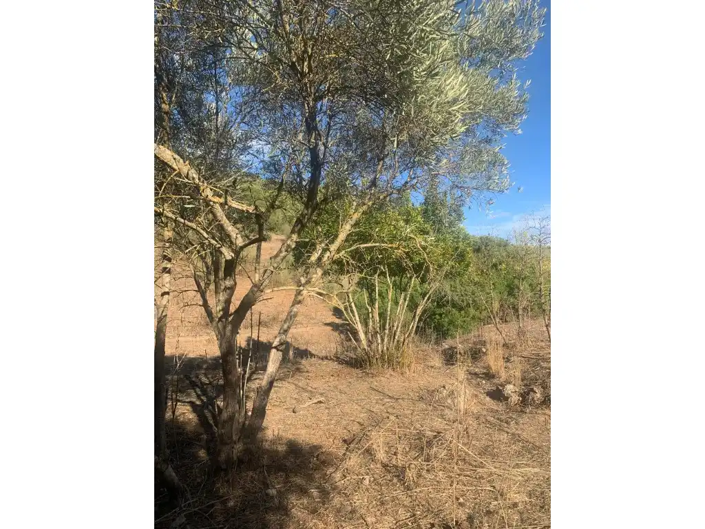 Residential for sale in Morón de la Frontera