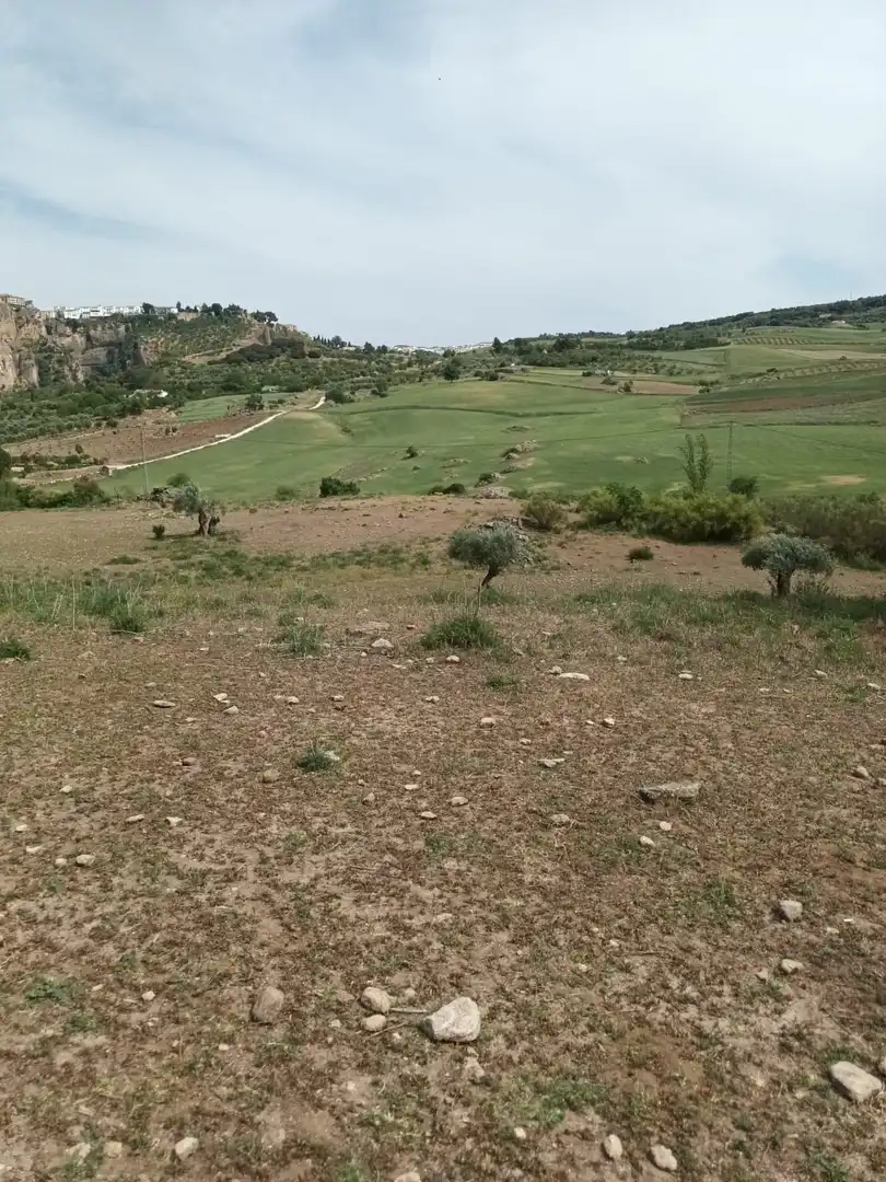 Casa rústica en venda a Partidas Norte, imagen 19