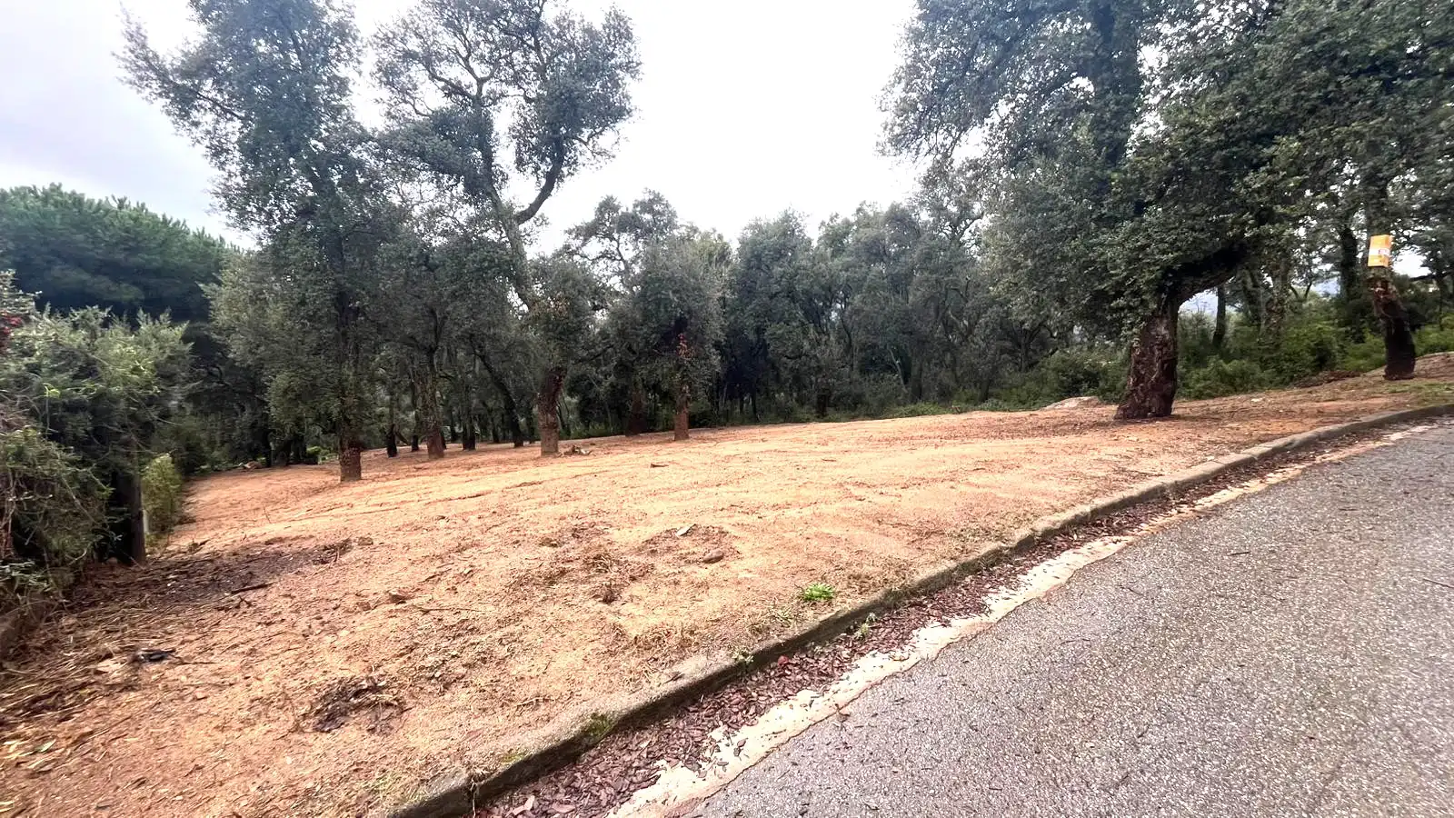 Terreno residencial en venta en Riells i Viabrea, imagen 2