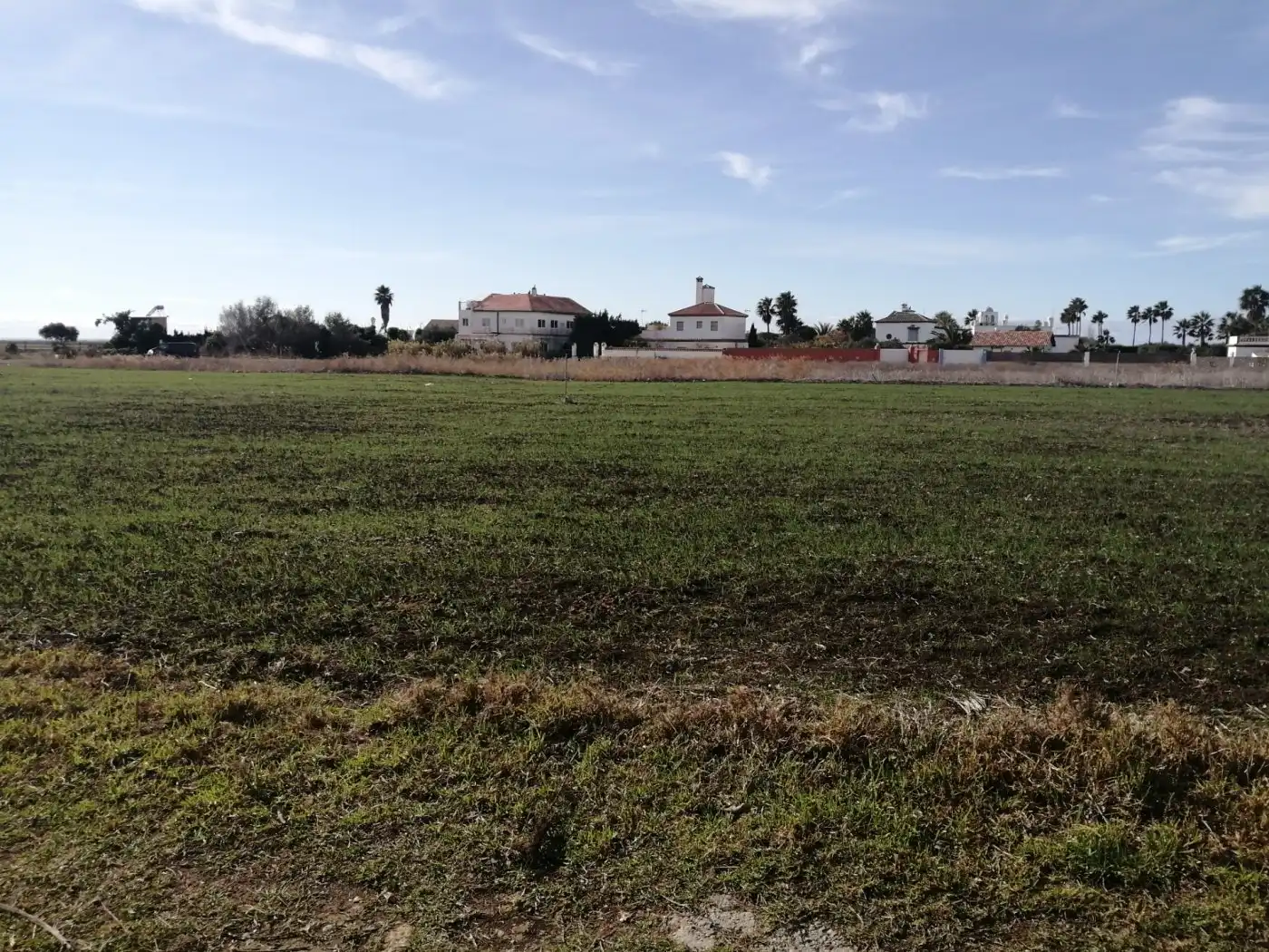 Terrain rustique à vendre à Vejer, imagen 2