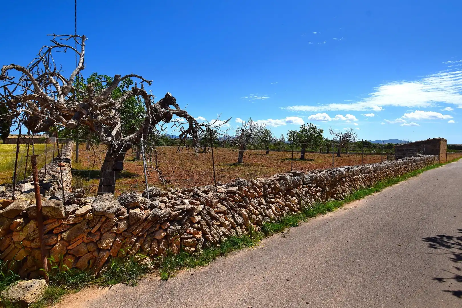 Residential land for sale in Santa Margalida Poble, imagen 9