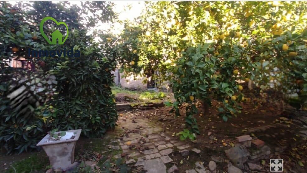 Jardí de Casa o xalet en venda en El Carpio amb Terrassa