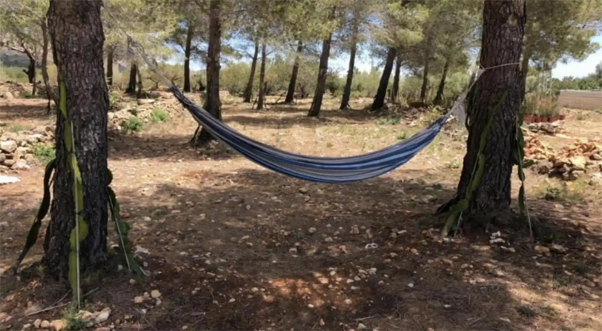 Jardí de Finca rústica en venda en Vandellòs i l'Hospitalet de l'Infant amb Jardí privat