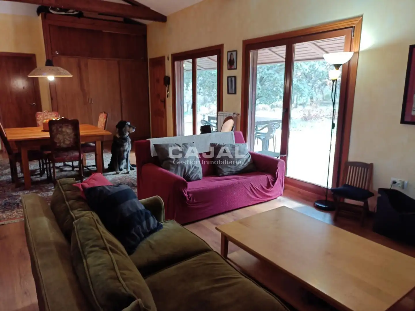 Sala de estar de Casa o chalet en venta en Castillejo de Mesleón con Calefacción