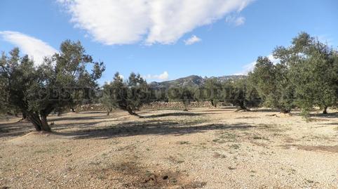 Photo 5 of Residential for sale in Poligono 32, Mas de Barberans, Tarragona