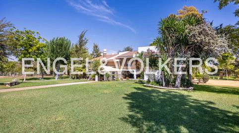 Foto 4 de Finca rústica en venda a Oromana, Sevilla