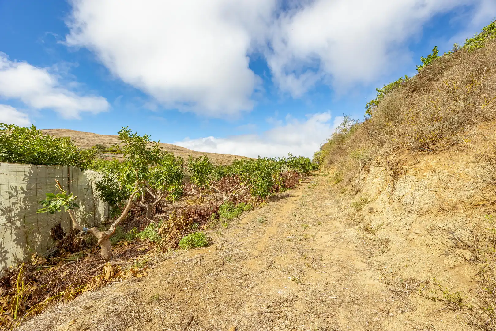Residencial en venta en Lugar Lomo del Poleo, Saucillo - Fagajesto - Juncalillo