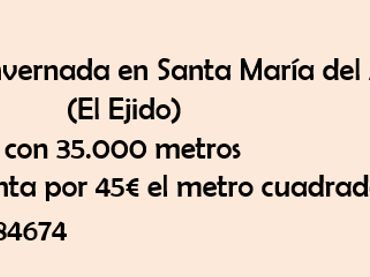 Terreno rustico in vendita a Santa María del Águila