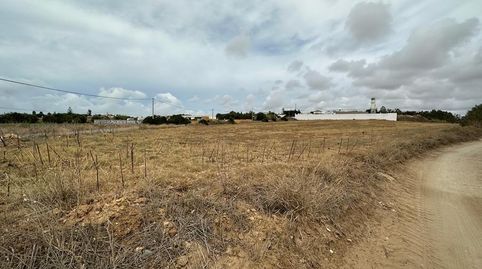 Terreno rustico en ConilLa Lobita, imatge 2