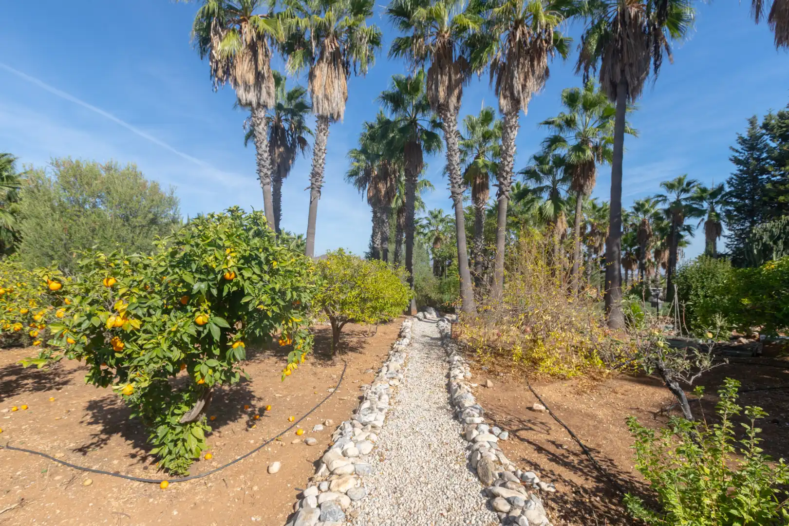 Casa o chalet en venta en Alhaurín de la Torre con Aire acondicionado, Calefacción y Jardín privado