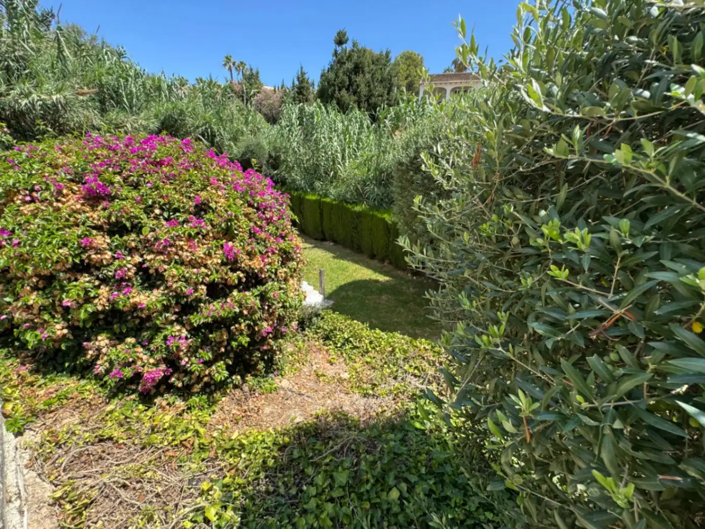 Detached house with pool for sale in Cala Advocat - Baladrar, imagen 51